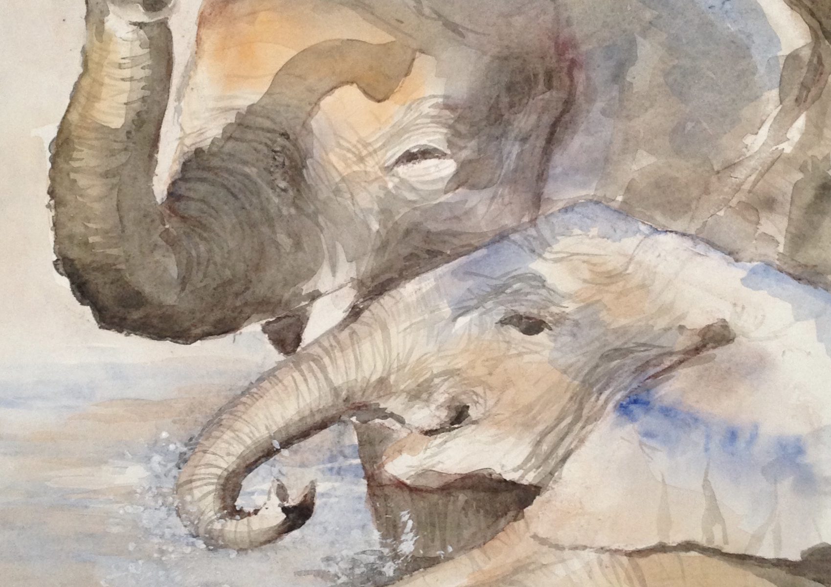 64-olifantenbad/aquarel 29x38cm