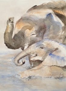 64-olifantenbad/aquarel 29x38cm