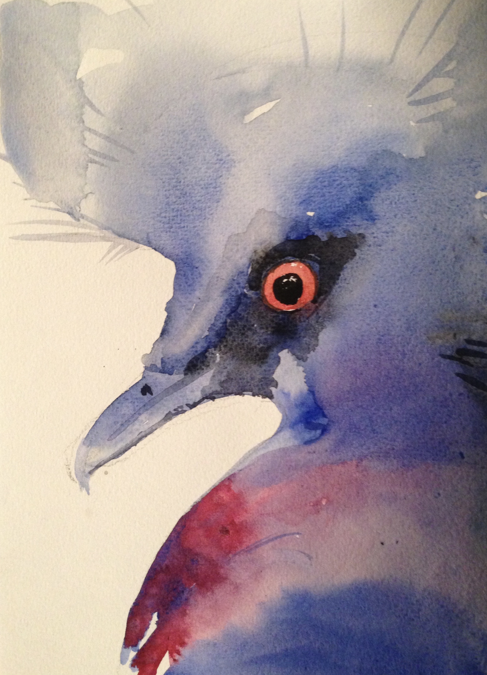 65-Blue bird/aquarel 14X19cm