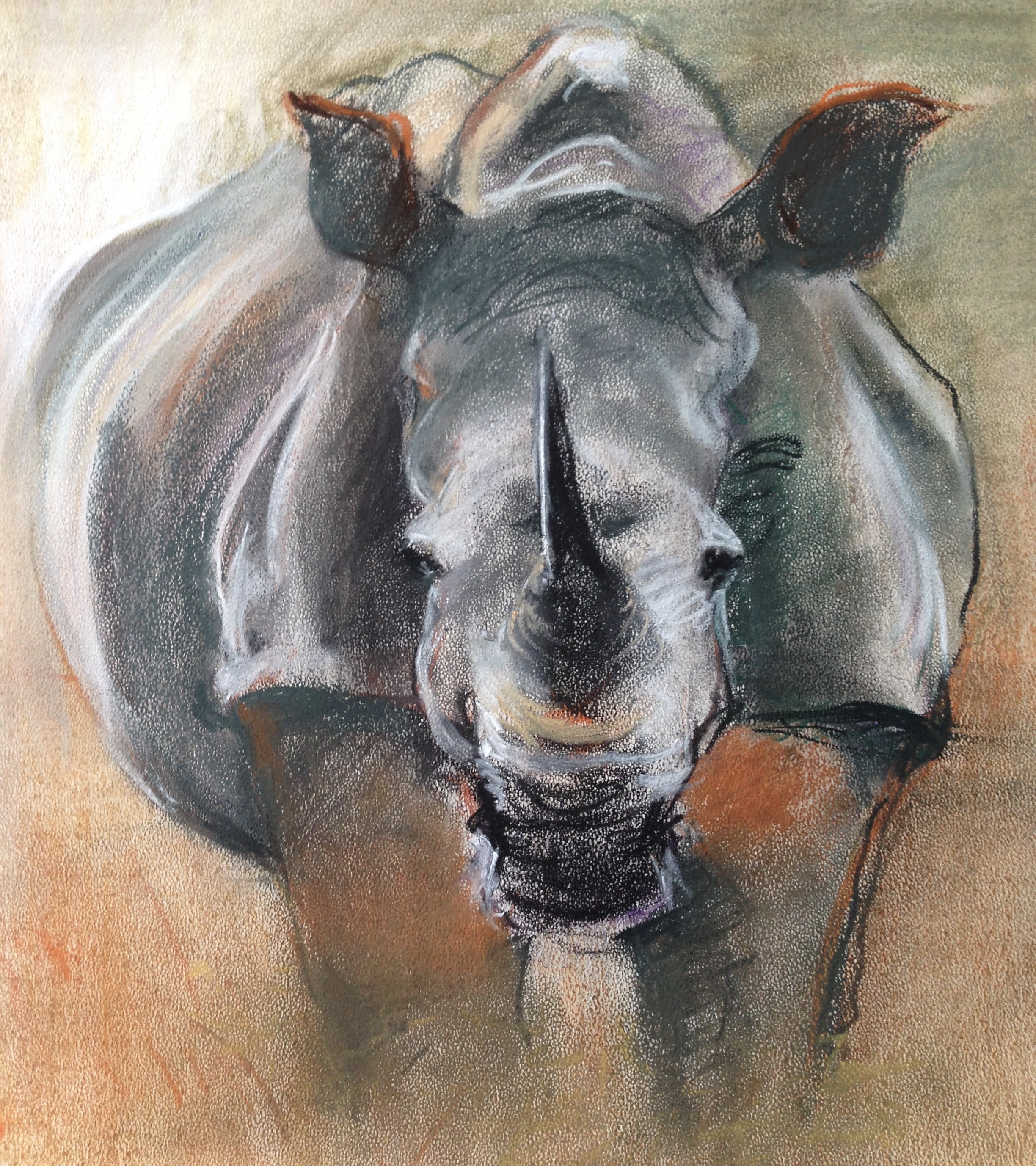 82-Rhino/pastel