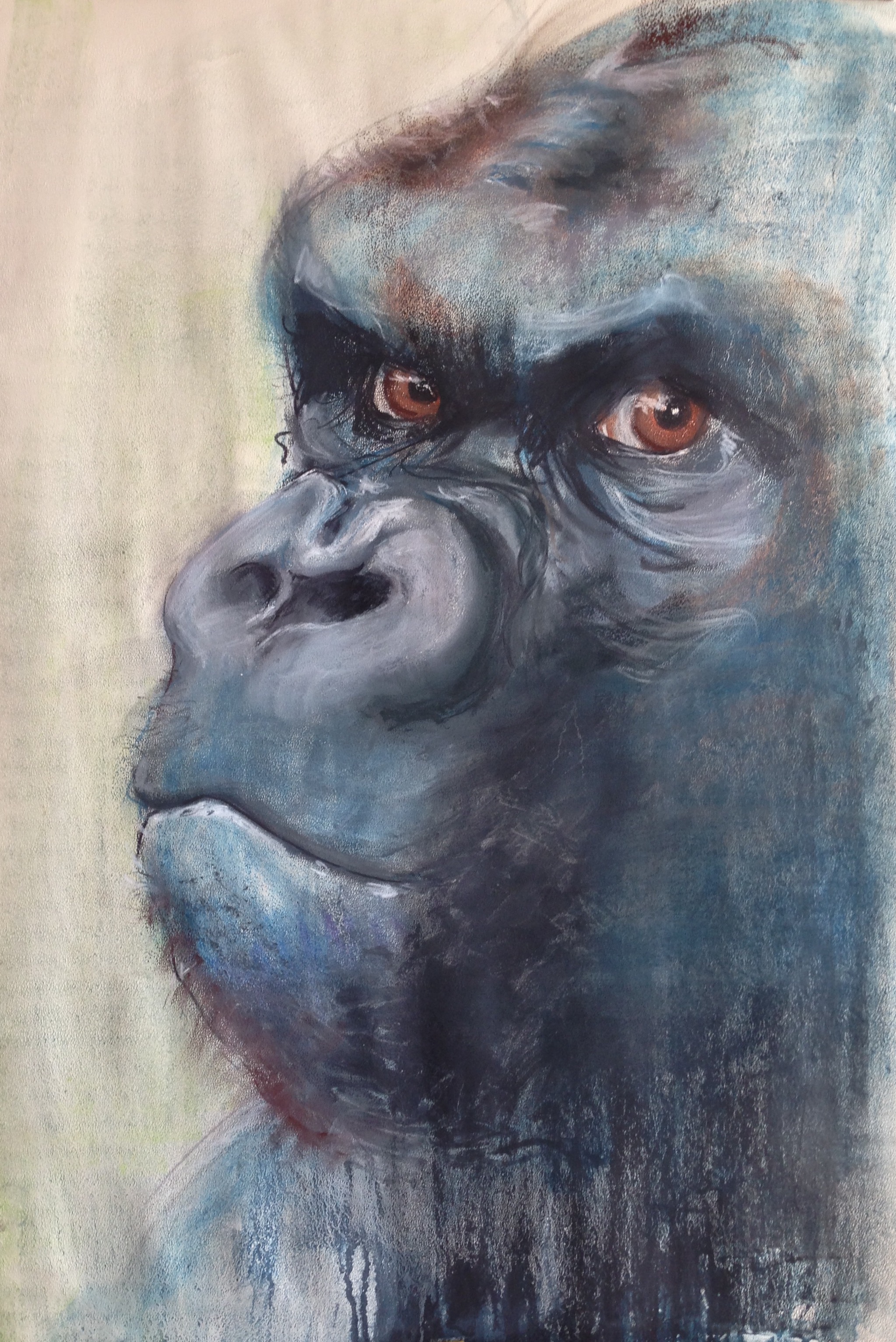 139-Gorilla/gewassen pastel 50 X 70cm