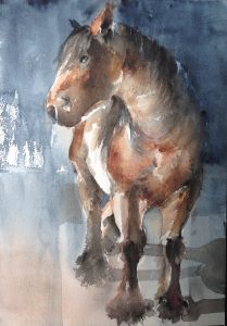 145-Horse/aquarel 25 X 35cm