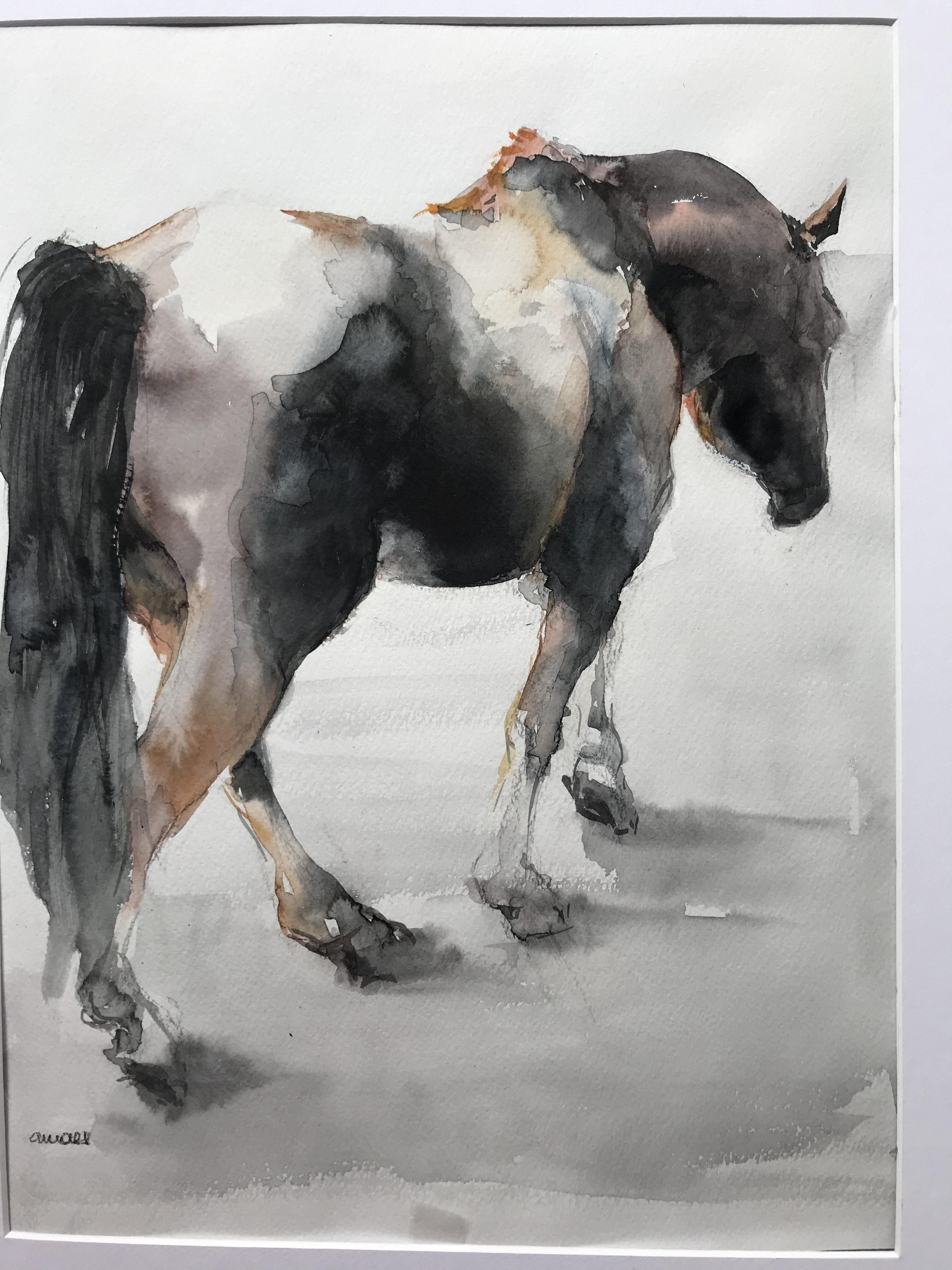 184-horse/aquarel 30X40cm