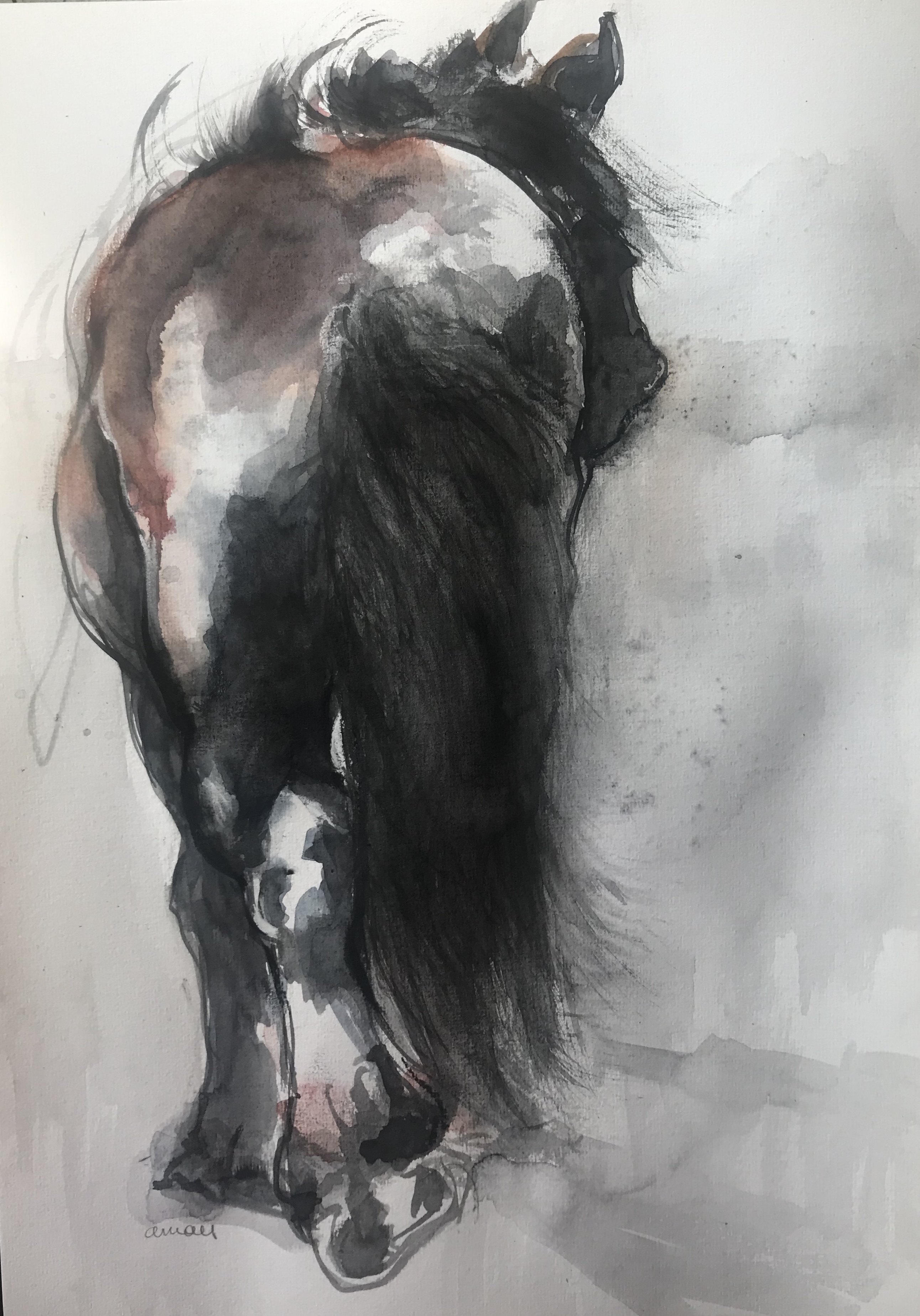 204-Draft horse/aquarel 30 X 40cm