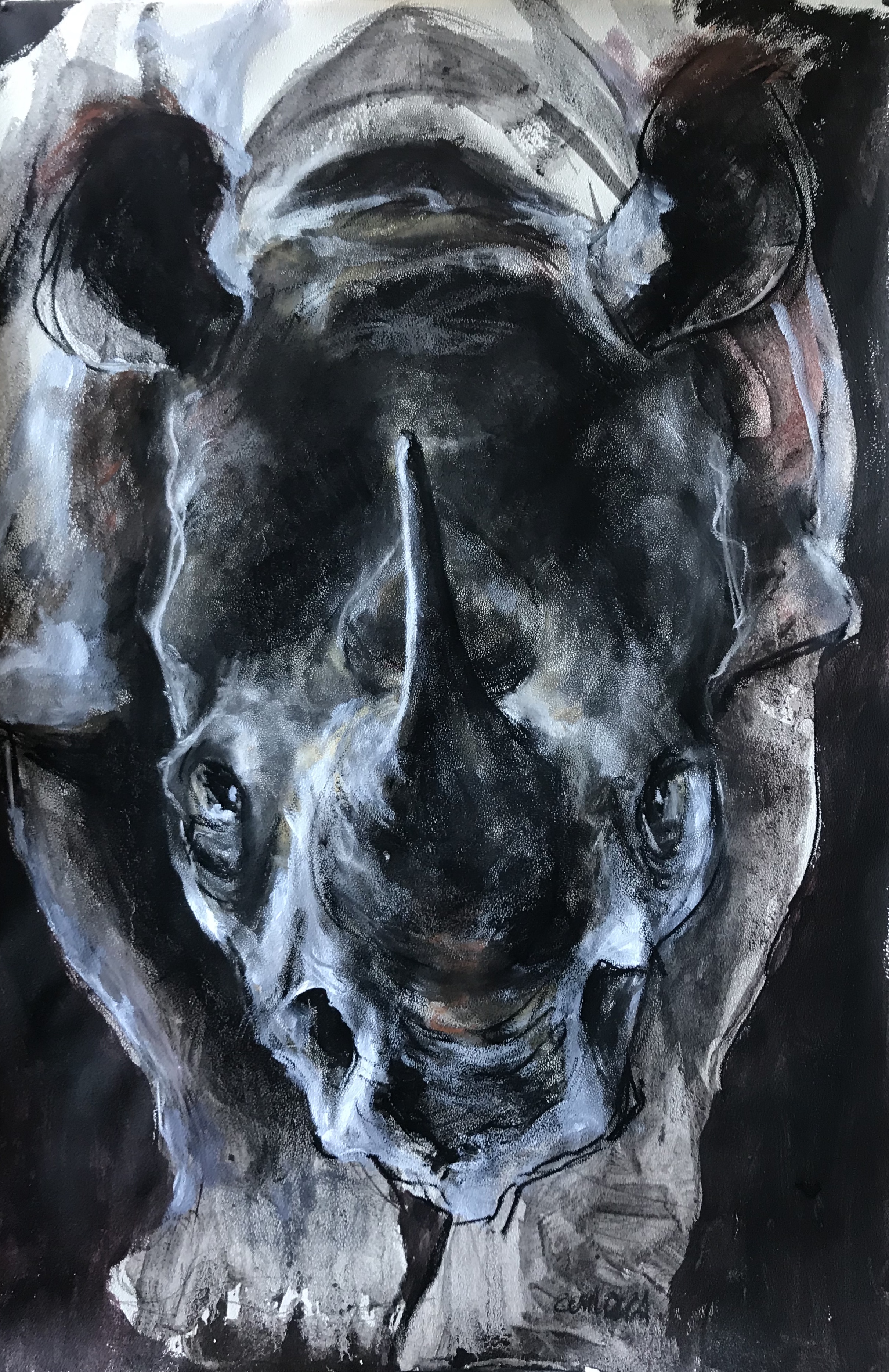 257-Rhino/mixed media 50x75cm